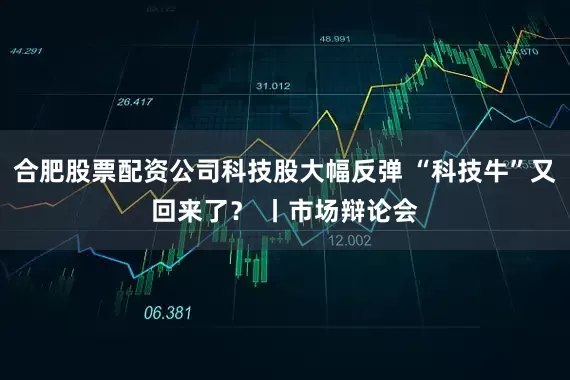 合肥股票配资公司科技股大幅反弹 “科技牛”又回来了？ 丨市场辩论会